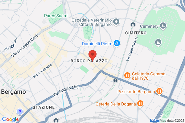 Maver giorgio