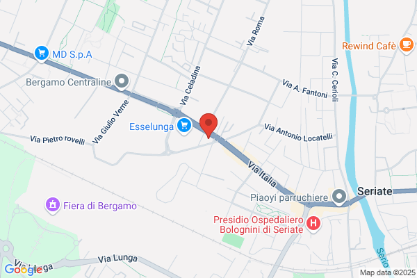Animalia