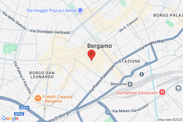 Acqua Ricerca Perdite Bergamo Advanced