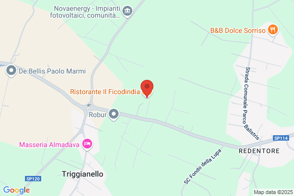 Ristorante Del Fico Dindia Di Costanzo E Faraone snc