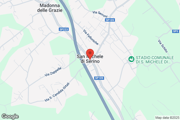 S.F. Macellerie Sas Di Caruso Pasqualina E C.