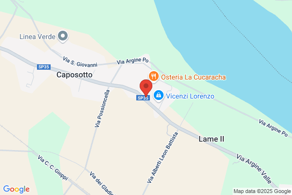 Vicenzi gino