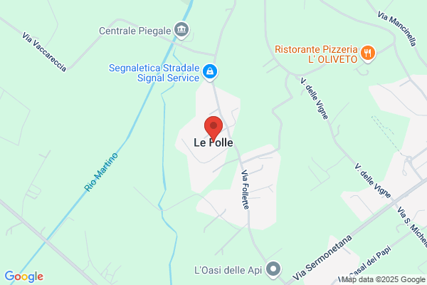 Le Folle S.R.L.