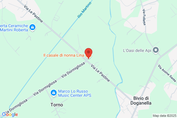 Manganiello violante