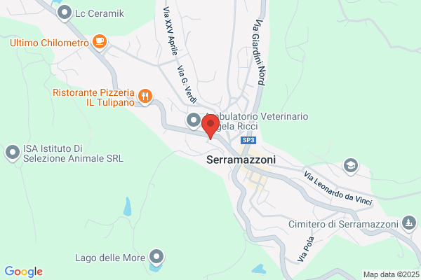 Franchini S.N.C.