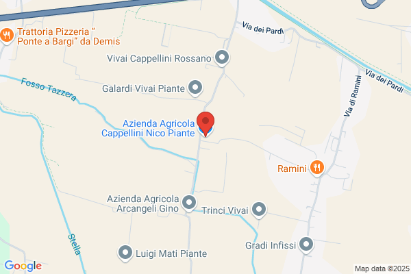 Azienda Agricola Cappellini Nico Piante