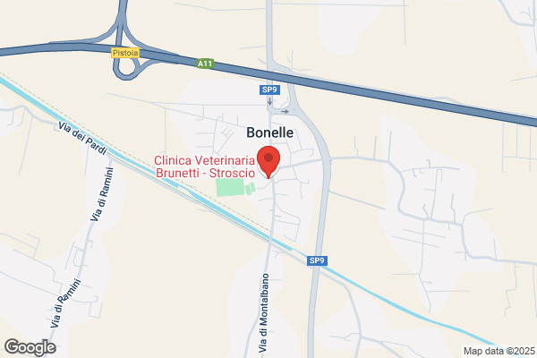 Clinica Veterinaria Brunetti - Stroscio