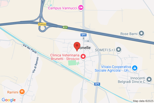 Generali Arredamenti