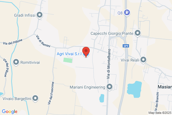 Agrivivai