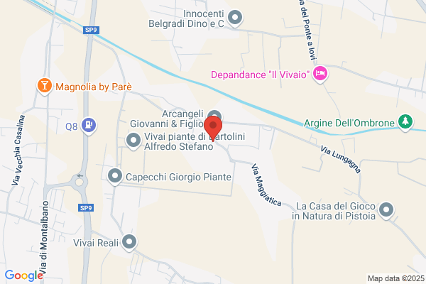 Frosini Vittorio