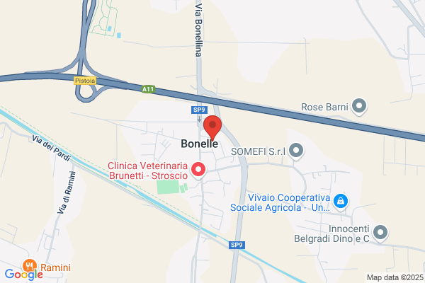 Gargini Dino