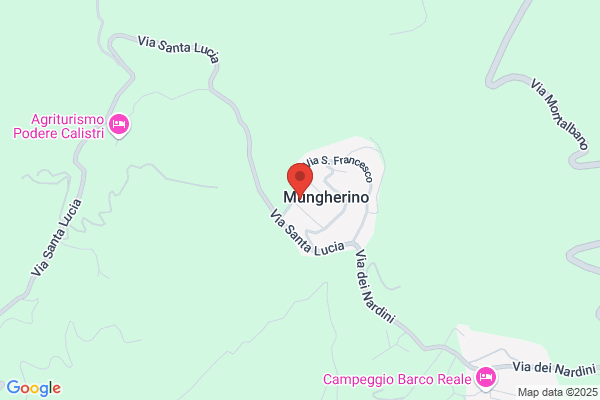 Versilia Com'Era