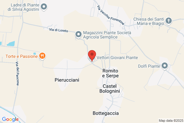 Vettori Legno Snc