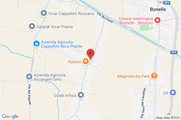 Vivai Piante TESI ROBERTO