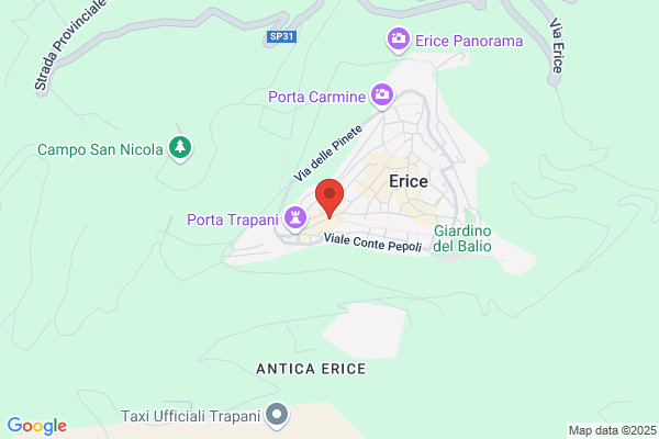 Leone erice