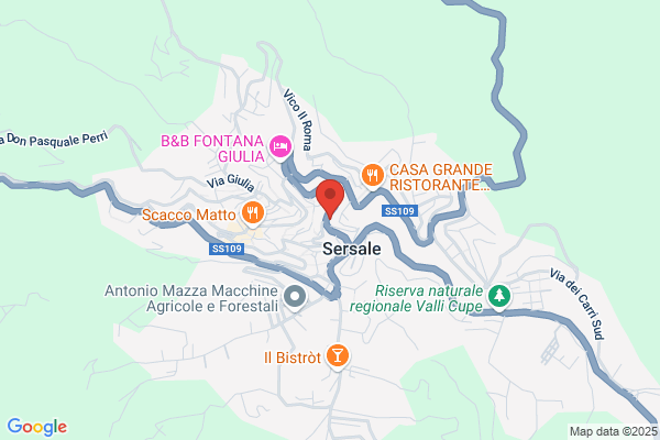 Borelli michele (Dr.)