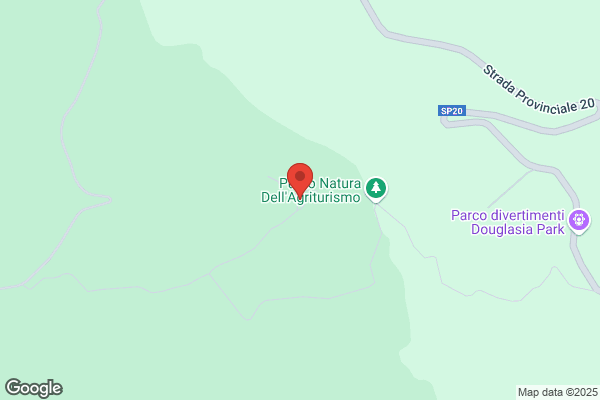Torchia Sinatora vito