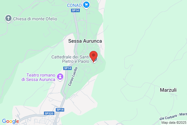Vescovo Diocesano