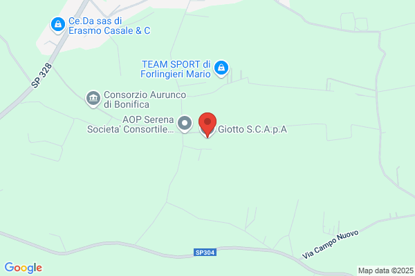 Societa Cooperativa Giotto A R.L.