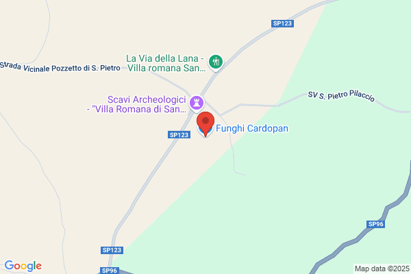 Funghi Cardopan
