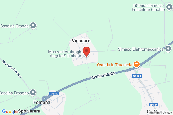 Manzoni       Angelo (Geom.)