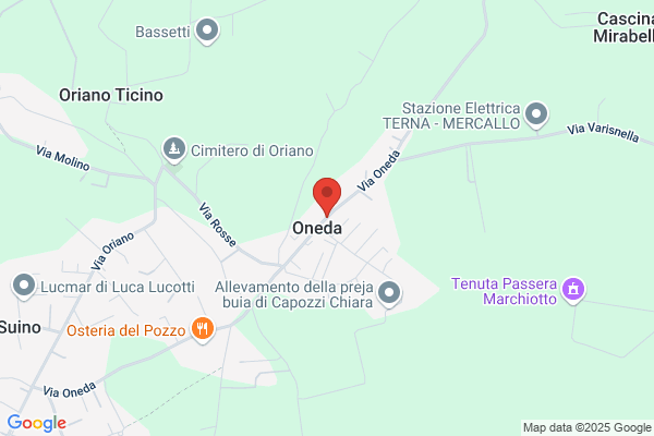 Jannotta Domenico
