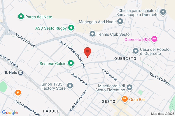 Stera aurelio (Dr.)
