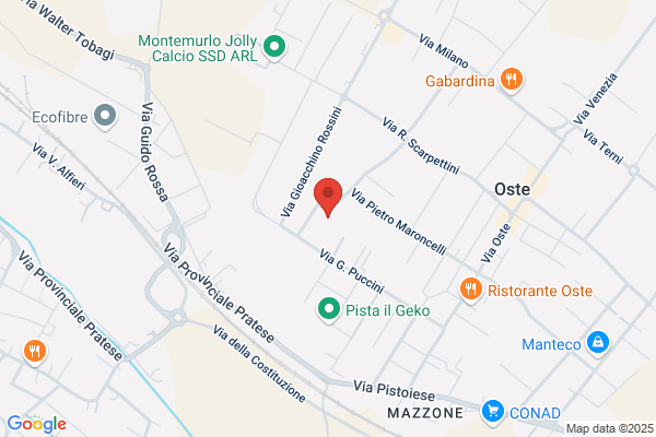 Organizzazione Coppini Srl