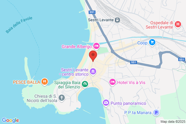 Albergo Suite Hotel Nettuno