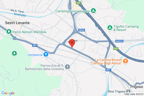 Loero carlo (Dr.)