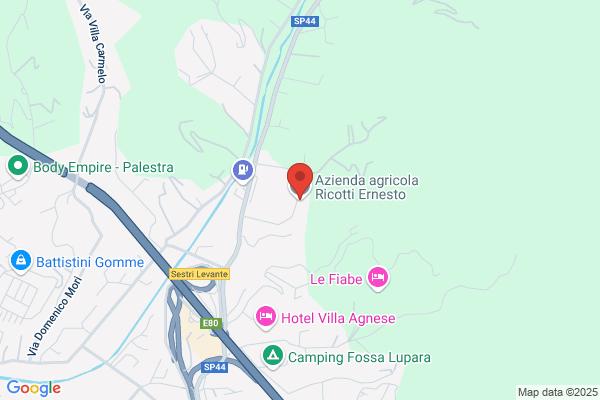 Azienda Agricola Ricotti