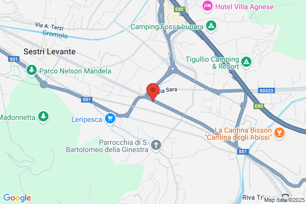 Sacco Macchine Elettriche
