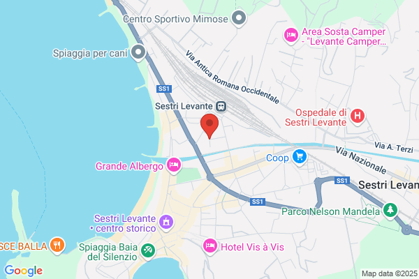 Cav.Antonio Oneto Sas