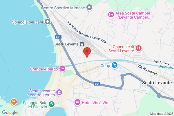 Clinica Veterinaria SegestaVet - dottori Bisio Sangiorgio Armento Vallillo