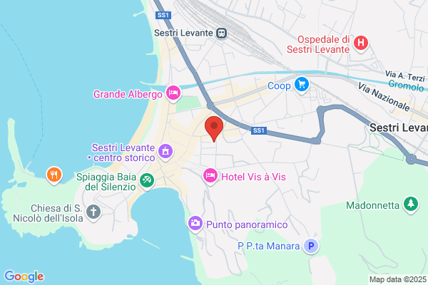 Largento Di Valenza Al Mare Di Levaggi ornella
