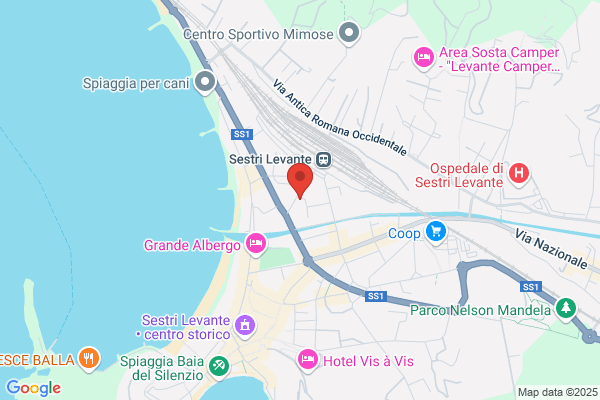 Pratiche Auto Levante Service
