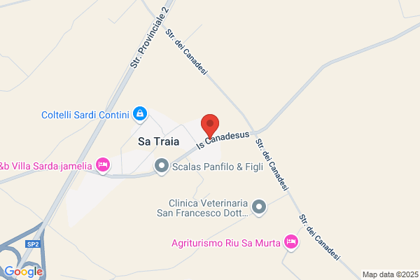 Ferro Battuto Dionigi Casula
