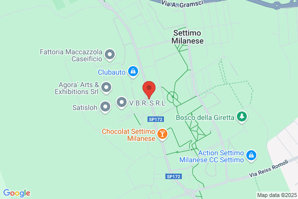 Top Car Settimo Milanese