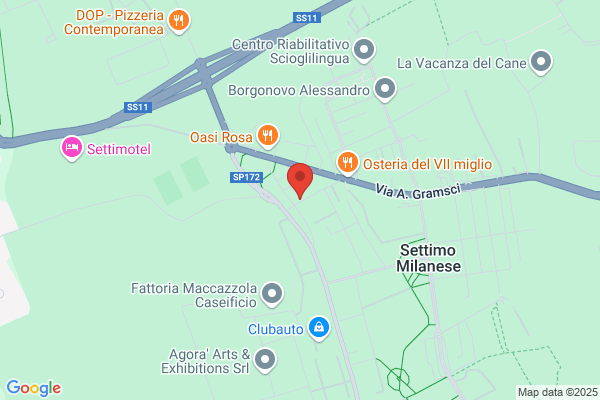 Life Srl Osteria Del Calcetto