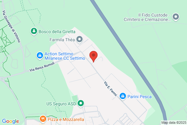 Fotoincisione 91