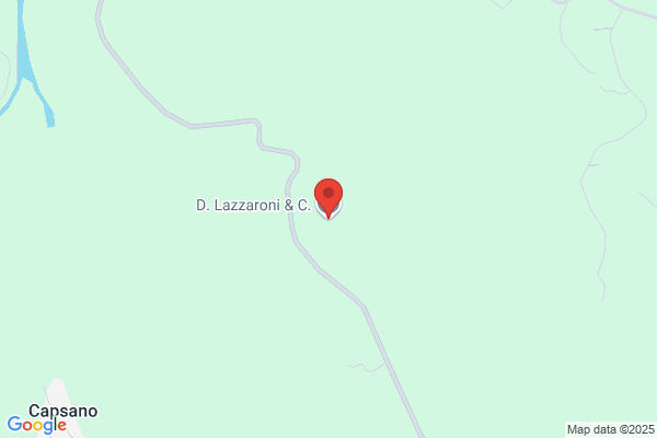 Lazzaroni Domenico