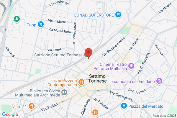 Seita fulvio