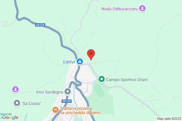 Piras antonio