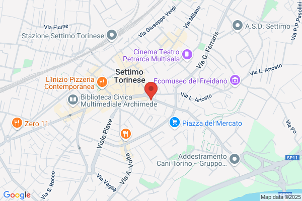 Morettini cesidia (Dr.)