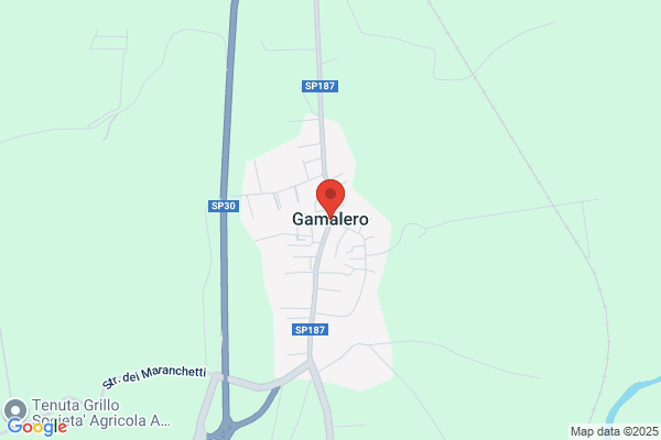 Gamalero Dario
