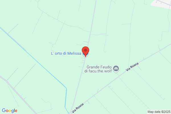 Tasciotti melissa