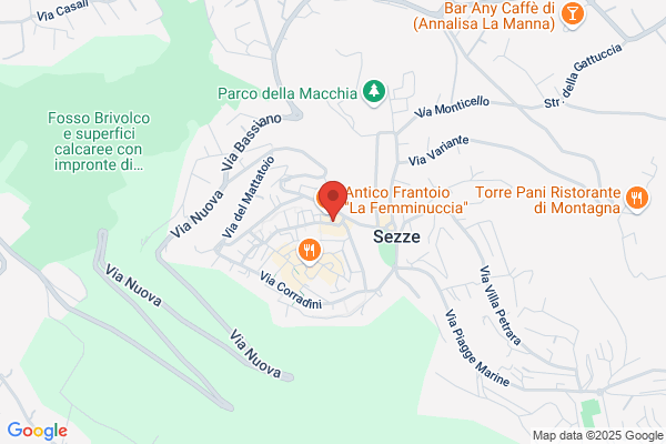Vicaro maurizio (Dr.)