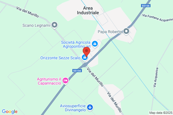 Immagine Donna Di Gaveglia E Sabbatini