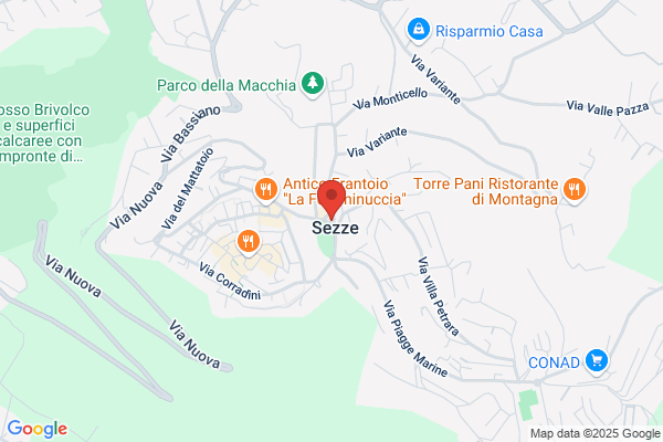 Gecomar Srl