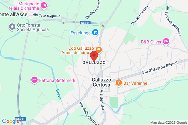 Galluzzo Virginia